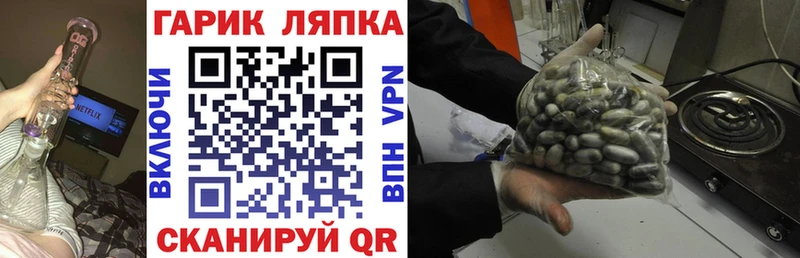 ГАШИШ Premium где продают наркотики ссылка на мегу вход Трубчевск