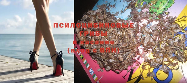 ПСИЛОЦИБИНОВЫЕ ГРИБЫ Бронницы