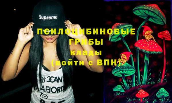 гашиш Бородино