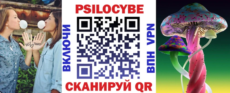 Галлюциногенные грибы Psilocybine cubensis Трубчевск